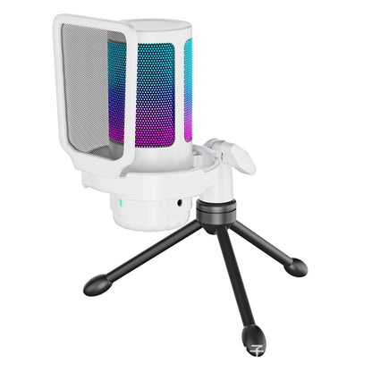 Gaming Microphone, USB Mic for PC with Noise Cancellation, RGB, Mute, Gain Control, Zero-Latency Monitoring,  Tripod Stand & Pop Filter, for Mac, Iphone, Streaming, Twitch, Youtube